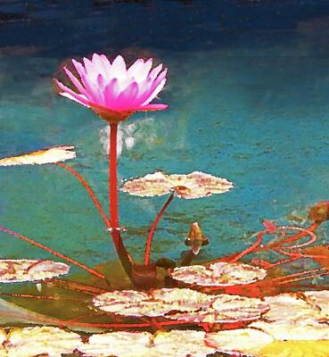 Lilies Mixed Media - Pond Flower Painting  by Sharon Williams Eng
