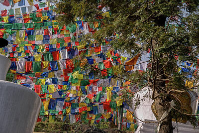 Giuseppe Cristiano Royalty Free Images - Prayer Flays along the Kora in McLeod Ganj Royalty-Free Image by Carol Ailles