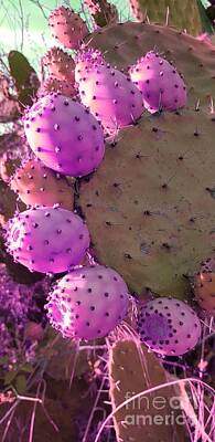 Airplane Paintings Royalty Free Images - Prickly pear cactus Royalty-Free Image by Paola Baroni