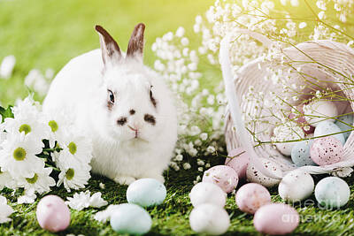 National And State Parks - Rabbit sitting next to Easter decorations. by Michal Bednarek
