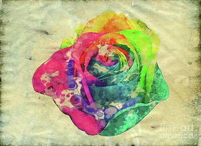 Roses Digital Art - Rainbow Rose by Esoterica Art Agency