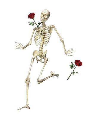 Best Sellers - Roses Digital Art - Rambling Rose Running Skeleton by Betsy Knapp