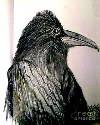 Birds Drawings Royalty Free Images - Raven Royalty-Free Image by Genevieve Esson
