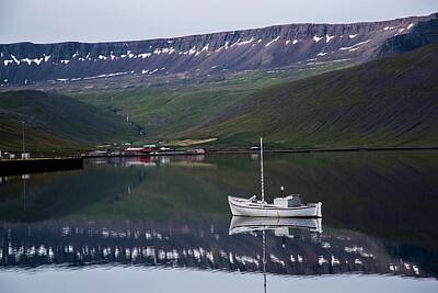 White Roses - Reflecting Harbor View, Iceland by Bob Cuthbert