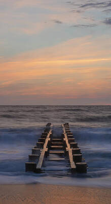 Bear Photography Rights Managed Images - Rehoboth Beach at Sunrise Royalty-Free Image by Jack Nevitt