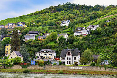 Umbrellas - Rhine River Country Living by Clyn Robinson