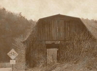 David Bowie Royalty Free Images - Roadside Rustic Barn 28 Royalty-Free Image by Cathy Lindsey