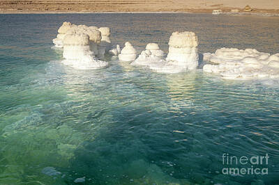 Catch Of The Day Royalty Free Images - Salt formation,Dead Sea, Israel j10 Royalty-Free Image by Dan Yeger