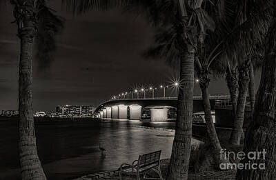 Catch Of The Day - Sarasota at Night by Paul Quinn