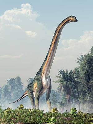Reptiles Royalty-Free and Rights-Managed Images - Sauropod by Daniel Eskridge