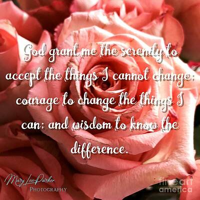 Best Sellers - Roses Mixed Media Royalty Free Images -  Serenity Prayer Ii Royalty-Free Image by MaryLee Parker