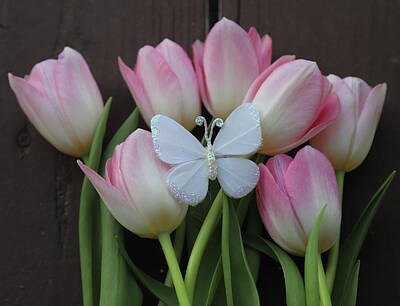 Aloha For Days - Seven Tulips And Faux Butterfly by Cathy Lindsey