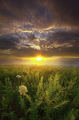Mother And Child Animals - Silence Is The Language Of God by Phil Koch