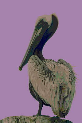 Civil War Art - Silver Lake Pelican 35 by Cathy Lindsey