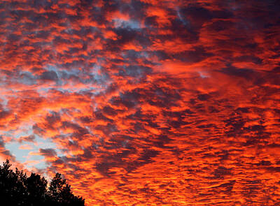 Abstract Landscape Photos - Sky on Fire by Katie Beougher