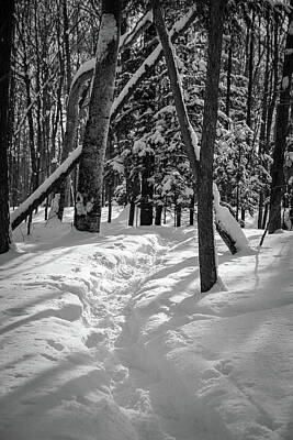 Rustic Cabin - Snowshoe Path1 by David Heilman