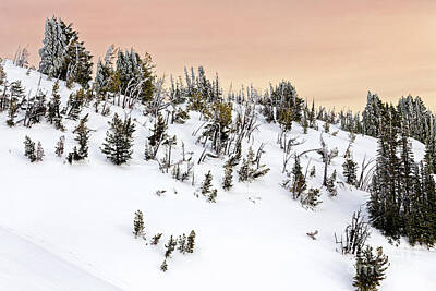 Modern Man Mid Century Modern - Snowy Winter Mountain Hillside Landscape Ice Snow On Conifer Trees Colorful Sky by Robert C Paulson Jr