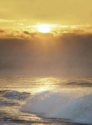 World Forgotten Rights Managed Images - Soft Sunrise at Jones Beach Royalty-Free Image by Vicki Jauron