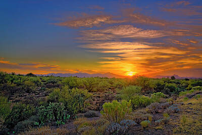Mark Myhaver Rights Managed Images - Sonoran Sunset h44 Royalty-Free Image by Mark Myhaver
