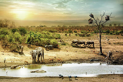 Fantasy Royalty-Free and Rights-Managed Images - South African Safari Wildlife Fantasy Scene by Good Focused