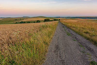 Food And Beverage Royalty-Free and Rights-Managed Images - South Downs Way after sunset by Hazy Apple