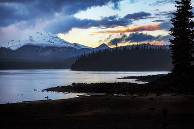 Mammals Royalty-Free and Rights-Managed Images - Spring Storm Elk Lake by Cat Connor