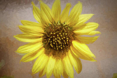 Sunflowers Mixed Media - Sunflower Standing Alone by Bobby Allan
