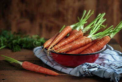 Still Life Photos - Still Life with fresh Carrots by Nailia Schwarz