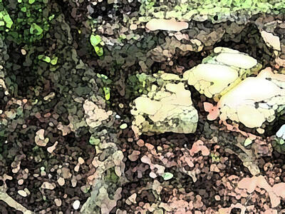 Recently Sold - Belinda Landtroop Rights Managed Images - Stone Step Garden Royalty-Free Image by Belinda Landtroop