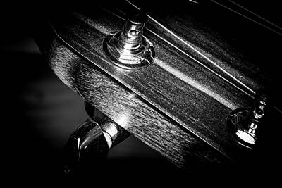 Jazz Photo Royalty Free Images - Strings Series 20 Royalty-Free Image by David Morefield