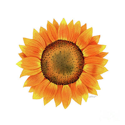 Sunflowers Paintings - Sunflower by Laura Nikiel