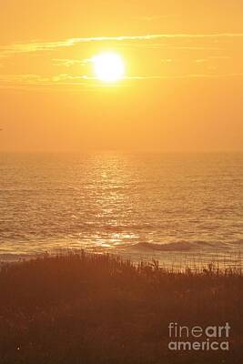 Lets Be Frank - Sunrise in the Outer Banks 3 by Tonya Hance