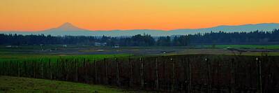 Wine Royalty-Free and Rights-Managed Images - Sunrise Mt. Hood Wine Country by Jerry Sodorff