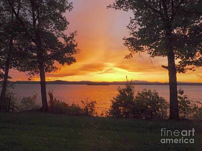 Abstract Trees Mandy Budan Rights Managed Images - Sunrise on Lake Champlain  Royalty-Free Image by Csilla Florida