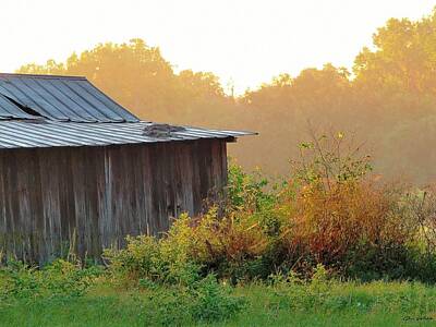 Vintage Oldsmobile - Sunrising on the Barn by Gina Welch
