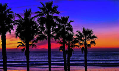 Robert Bellomy Royalty-Free and Rights-Managed Images - Sunset from the Ocean Park Inn by Robert Bellomy