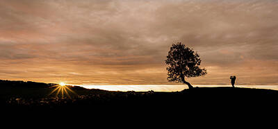 Advertising Archives - Sunset Tree by Nick Bywater