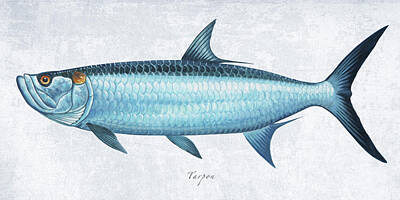 Mixed Media Royalty Free Images - Tarpon Portrait Royalty-Free Image by Guy Crittenden