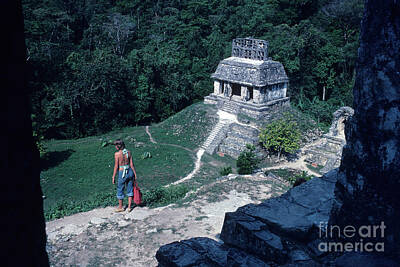 Safari - Temple at Palenque by Bernd Billmayer