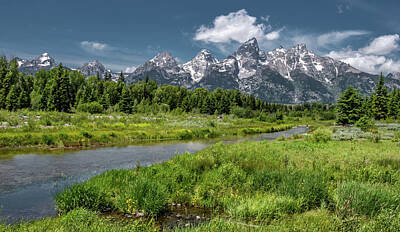 Majestic Horse Rights Managed Images - Teton View From Schwabachers Landing Royalty-Free Image by Marcy Wielfaert