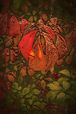 Trick Or Treat Royalty Free Images - The Burning Bush Royalty-Free Image by Andrea Swiedler