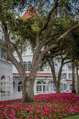 Go For Gold Royalty Free Images - The Grand Floridian in Bloom Royalty-Free Image by Sara Frank