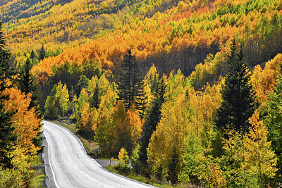 Fairies Sara Burrier - The Million Dollar Highway Fall Colors by Ray Mathis