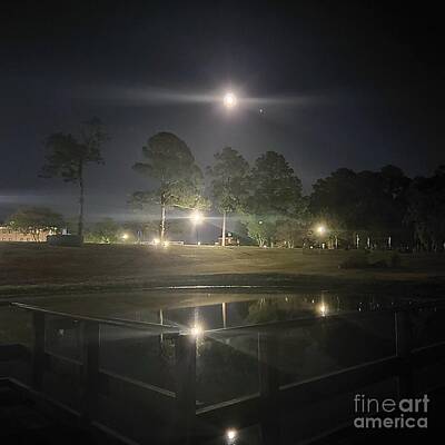 Zen - The Moon Over Lake Leisure  by Donna Brown