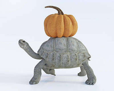 Reptiles Digital Art - The Tortoise and the Pumpkin by Betsy Knapp