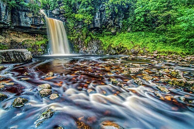 Cactus Royalty Free Images - Thornton Force Waterfall Royalty-Free Image by David Ross