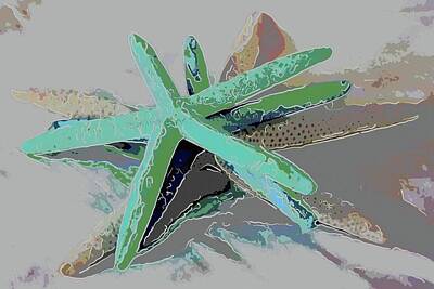 Airplane Paintings - Three Brittle Stars On White 10 by Cathy Lindsey