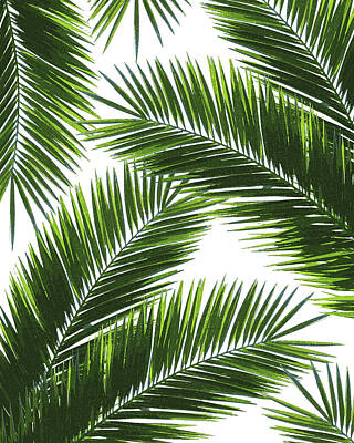 Best Sellers - Florals Mixed Media - Tropical Palm Leaf Pattern 1 - Tropical Wall Art - Summer Vibes - Modern, Minimal - Green by Studio Grafiikka