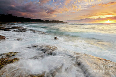Reptiles Royalty-Free and Rights-Managed Images - Turtle Bay Sundown by Michael Dawson