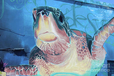 Reptiles Royalty Free Images - Turtle Mural Fuerteventura Spain Royalty-Free Image by Eddie Barron